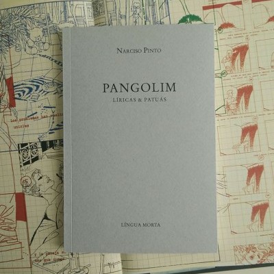Livro 'PANGOLIM LÍRICAS & PATUÁS' sobre livro aberto com ilustrações e gráficos.