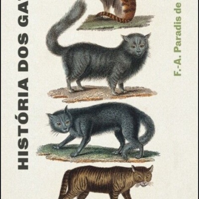 Capa de livro com título em português e ilustrações de quatro gatos variados