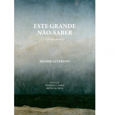 Capa de livro com fundo azul e cinza e texto em branco