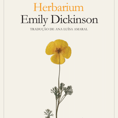 Capa de livro Herbarium de Emily Dickinson com flor amarela prensada e texto em português