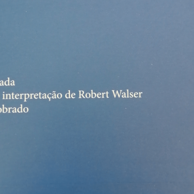 Capa de livro azul com texto branco com título e autor