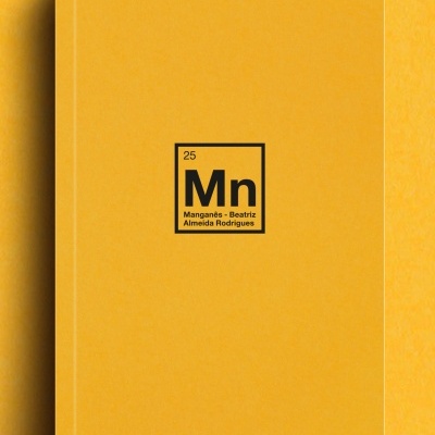 Livro com capa amarela e texto '25 Mn Manganês - Beatriz Almeida Rodrigues' ao centro