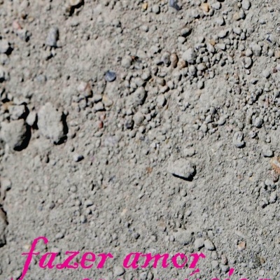 Capa de livro cinzenta com texto rosa e branco