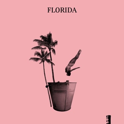 Capa de livro rosa com título FLORIDA, duas palmeiras, balde e pessoa a mergulhar