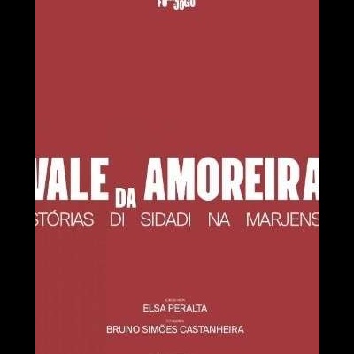 capa com fundo vermelho e texto branco e amarelo VALE DA AMOREIRA e nomes de autores