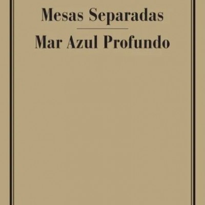 Capa de livro bege com texto preto e moldura fina preta