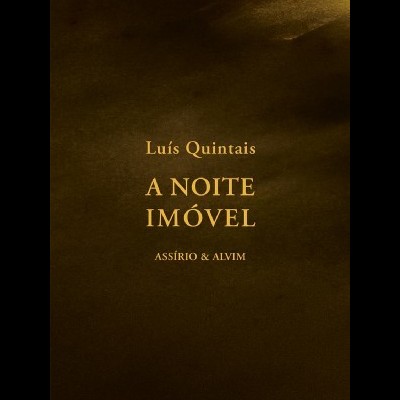 Capa de livro castanho escuro com texto dourado
