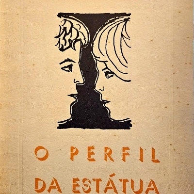 Capa de livro 'O PERFIL DA ESTÁTUA' com ilustração de perfis humanos