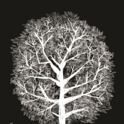 Capa de livro preto com ilustração de árvore branca e texto 'o livro do ano | AFONSO CRUZ'