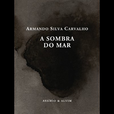 Capa de livro preto e cinza com texto branco