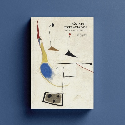 Capa de livro com pintura abstracta e texto em preto