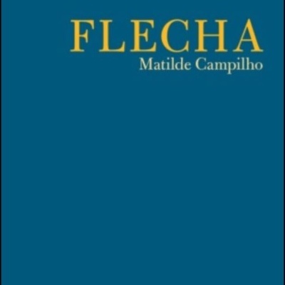 Capa de livro azul com título FLECHA e autor Matilde Campilho
