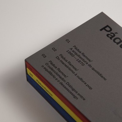 Caixa de livros com capa cinza e lombadas coloridas