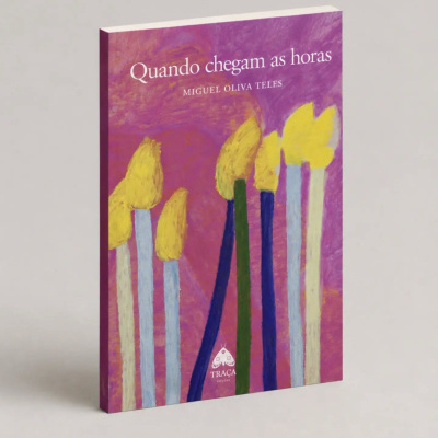 Livro com capa roxa e fósforos amarelos pintados, título quando chegam as horas