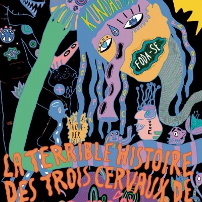 Capa de livro colorida com ilustração abstrata e textos em francês.