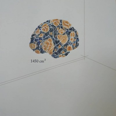 Padrão arredondado em azul escuro, laranja e bege com texto '1450 cm³' e nome 'João Nuno Teixeira' sobre fundo branco