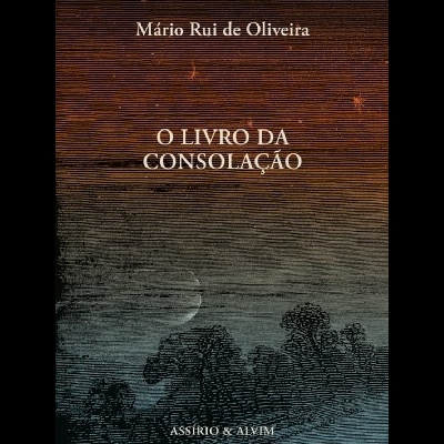Capa de livro O LIVRO DA CONSOLAÇÃO com texto em castanho e azul