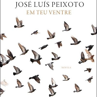 Capa do livro 'Em Teu Ventre' de José Luís Peixoto com várias aves voando