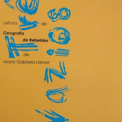 Capa de livro laranja com texto azul e preto de Maria Carolina Fenati.