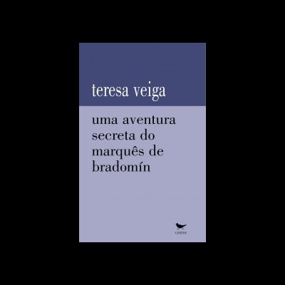 Capa de livro azul com texto em branco e preto de Teresa Veiga