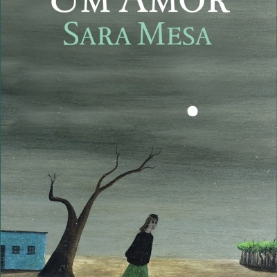 Capa de livro 'Um Amor' de Sara Mesa com ilustração de pessoa a caminhar numa paisagem árida e árvore seca