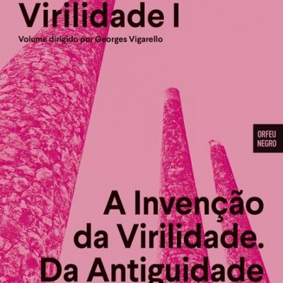 Capa de livro rosa com texto preto e imagens de pilares texturizados