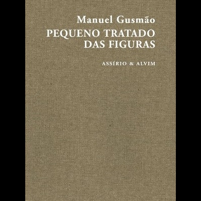Capa de livro bege com texto branco Manuel Gusmão Pequeno Tratado das Figuras