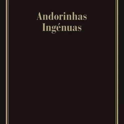 Capa de livro preta com texto dourado e borda fina