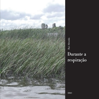 Capa de livro com imagem de campo de relva alta junto à água e texto preto e branco