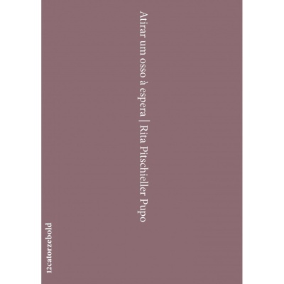 Capa de livro roxo-cinzento com texto branco vertical