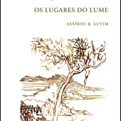 Capa de livro com título e ilustração de árvore e paisagem