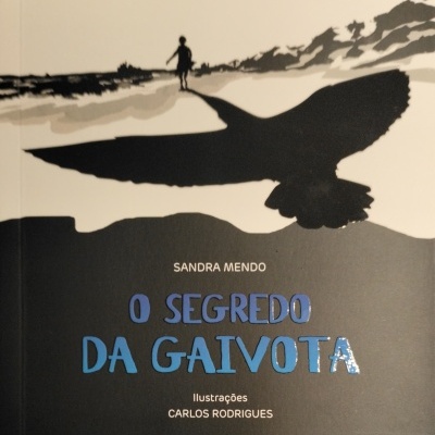 Capa do livro 'O SEGREDO DA GATVOTA' com ilustrações e silhueta de gaivota e criança
