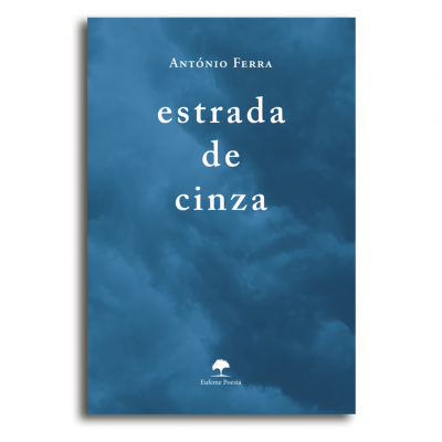 Capa de livro azul-escura com texto branco 'estrada de cinza' de António Ferra