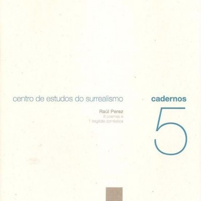 Capa de livro branco com texto em azul e cinzento