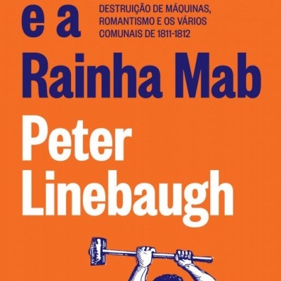 Capa de livro laranja com título azul e autor branco, e ilustração de homem com martelo.