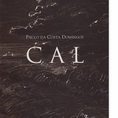 Capa de livro preta com texto branco 'PAULO DA COSTA DOMINGOS CA L'