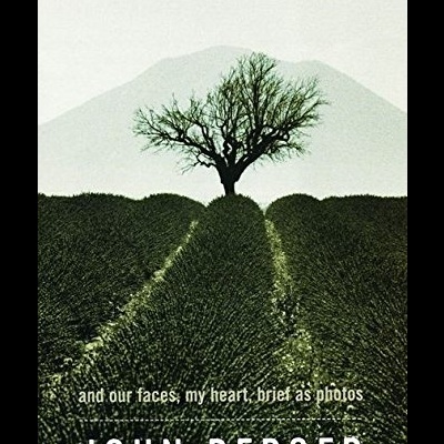 Capa de livro com árvore isolada em campo verde e texto branco.