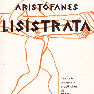 Capa de livro com desenho laranja e texto preto sobre fundo branco.