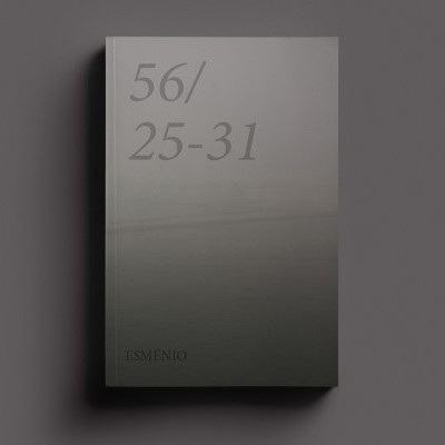 Livro cinzento com texto 56/ 25-31 na capa
