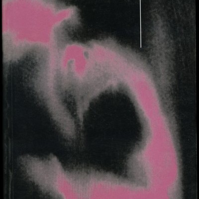 Capa de livro preta e rosa com textos 'Helder Moura Pereira' e 'amar carnalis'.