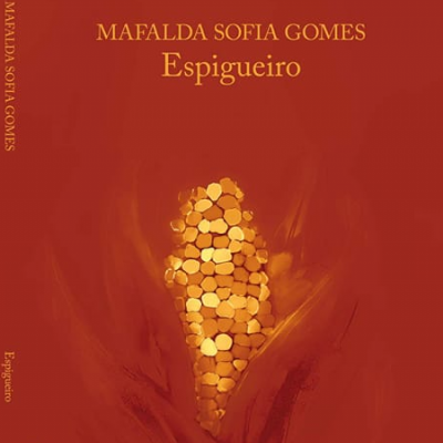 Capa de livro castanha com título e ilustração dourada