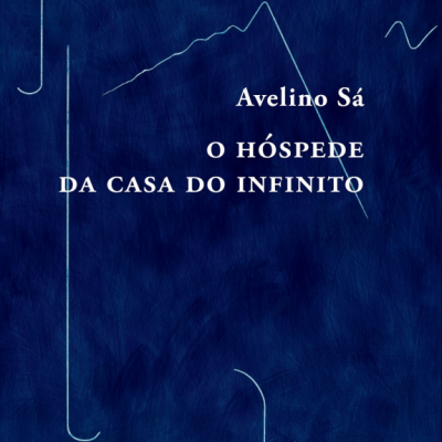 Capa de livro azul com letras brancas e linhas finas brancas