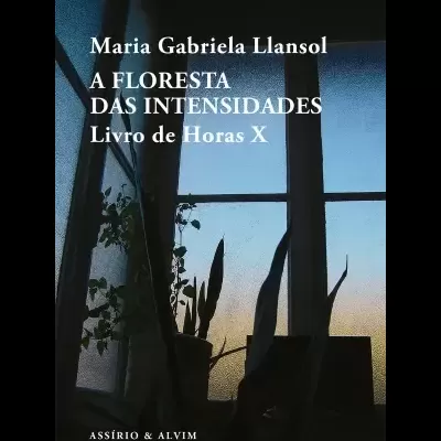 Capa do livro 'A FLORESTA DAS INTENSIDADES Livro de Horas X' por Maria Gabriela Llansol