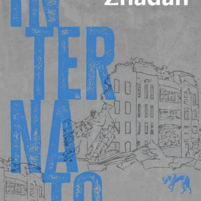 Capa de livro 'INTERNATO' com ilustrações cinzentas e texto azul e branco