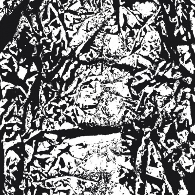 Capa de livro abstrata a preto e branco com texto em português.