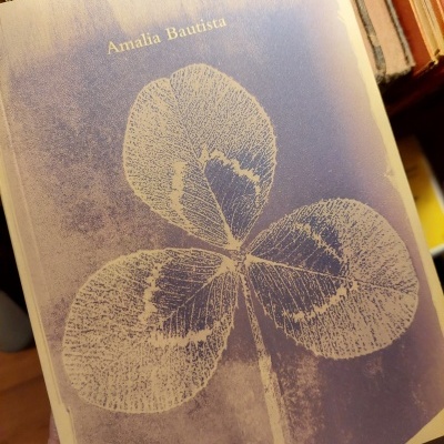 Capa de livro com ilustração de trevo e nome Amalia Bautista