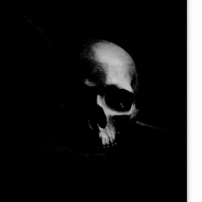 Crânio humano em fundo preto com detalhes em cinza e branco