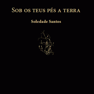Capa preta de livro com texto dourado e um ramo estilizado