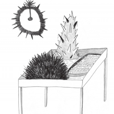 Capa de livro Fragility com desenhos de objetos pontiagudos em mesa e textos