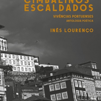 Capa de livro preto e branco com texto laranja e fotografia de edifícios tradicionais